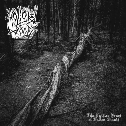 Hollow Woods : Like Twisted Bones of Fallen Giants